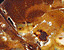 000802_c426_0009_cslst.gif