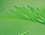 000802_c423_0077_cslst.gif