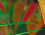 000802_c423_0047_cslst.gif