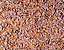 000802_c265_0000_cslst.gif