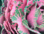 000802_c221_0031_cslst.gif