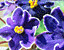000802_c221_0021_cslst.gif