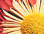 000802_c221_0020_cslst.gif