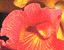 000802_c221_0018_cslst.gif