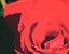 000802_c221_0017_cslst.gif