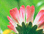 000802_c221_0016_cslst.gif