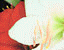 000802_c221_0012_cslst.gif