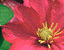 000802_c221_0011_cslst.gif