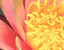 000802_c221_0007_cslst.gif