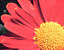 000802_c221_0004_cslst.gif
