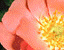 000802_c221_0003_cslst.gif