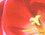 000802_c221_0001_cslst.gif