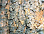000802_c218_0092_cslst.gif