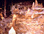 000802_c218_0049_cslst.gif
