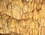 000802_c218_0037_cslst.gif