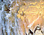 000802_c218_0019_cslst.gif