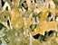 000802_c218_0014_cslst.gif