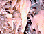 000802_c218_0011_cslst.gif