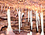000802_c218_0008_cslst.gif