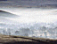 000802_c216_0092_cslst.gif