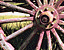 000802_c216_0061_cslst.gif