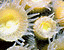 000802_c210_0096_cslst.gif