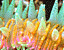 000802_c210_0075_cslst.gif