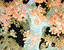 000802_c210_0064_cslst.gif