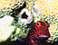 000802_c210_0038_cslst.gif