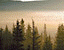 000802_c199_0002_cslst.gif