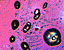 000802_c186_0058_cslst.gif