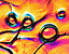 000802_c186_0051_cslst.gif