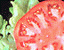 000802_c169_0049_cslst.gif
