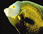 000802_c164_0042_cslst.gif