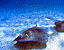 000802_c164_0013_cslst.gif
