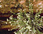 000802_c162_0086_cslst.gif