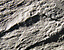 000802_c137_0006_cslst.gif