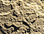 000802_c137_0004_cslst.gif