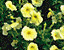 000802_c132_0064_cslst.gif