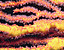 000802_c101_0024_cslst.gif