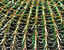 000802_c019_0015_cslst.gif