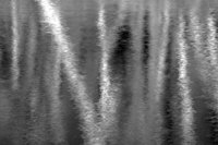 P0318413.jpg
