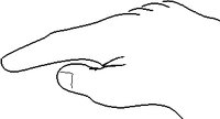 HANDLINE.WMF