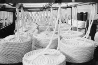 P0315343.jpg
