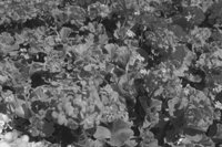P0314945.jpg