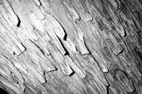 P0311691.jpg
