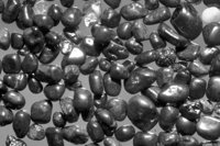 P0310653.jpg