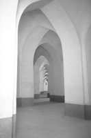 P0309964.jpg