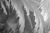 P0309516.jpg