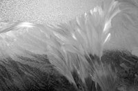 P0309500.jpg